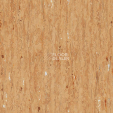 Линолеум Tarkett iq Optima BROWN YELLOW 0831 фото 1 | FLOORDEALER